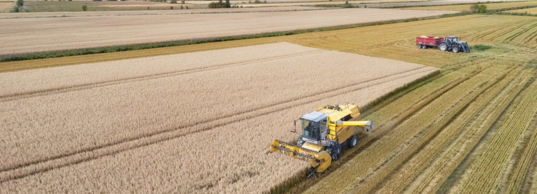 Maataloutta Pyhtäällä. Kuva Carl Svanfält / Pyhtään kunta