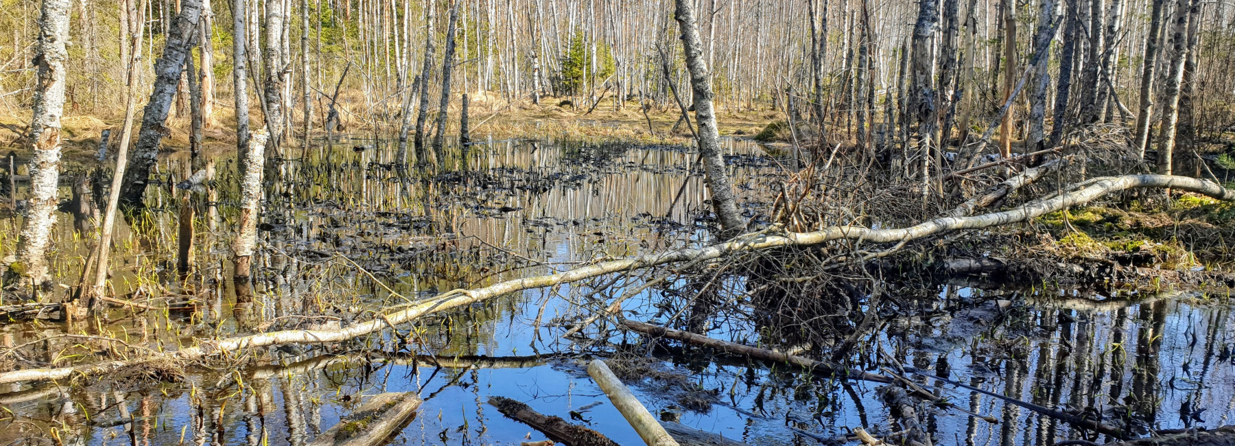 Vantaansuontakusenkujalla on huhtikuun alussa vielä hiljaista