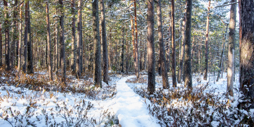 Meiän Pyttis 2026 -ideakysely on avattu